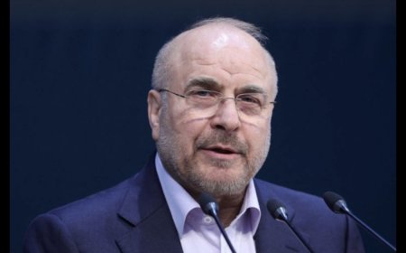 بوليتيكو: البيت الأبيض يعتبر رئيس البرلمان الإيراني زعيما محتملا ستدعمه الولايات المتحدة