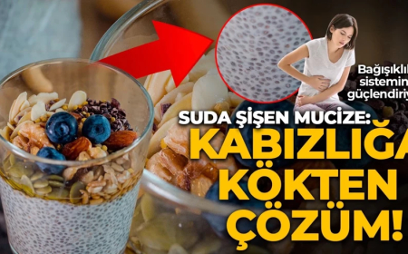 Suda şişen mucize: Kabızlığı kökünden çözüyor, bağışıklık sistemini güçlendiriyor!
