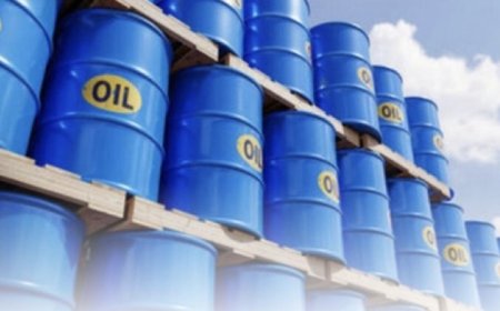 رويترز: ارتفاع خام برنت إلى 115.29 دولارا للبرميل وصعود الخام الأمريكي إلى 102 دولار للبرميل.