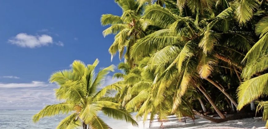 ماذا نعرف عن الجزر السرية التي تقف وراء الخلاف بين الولايات المتحدة والمملكة المتحدة؟