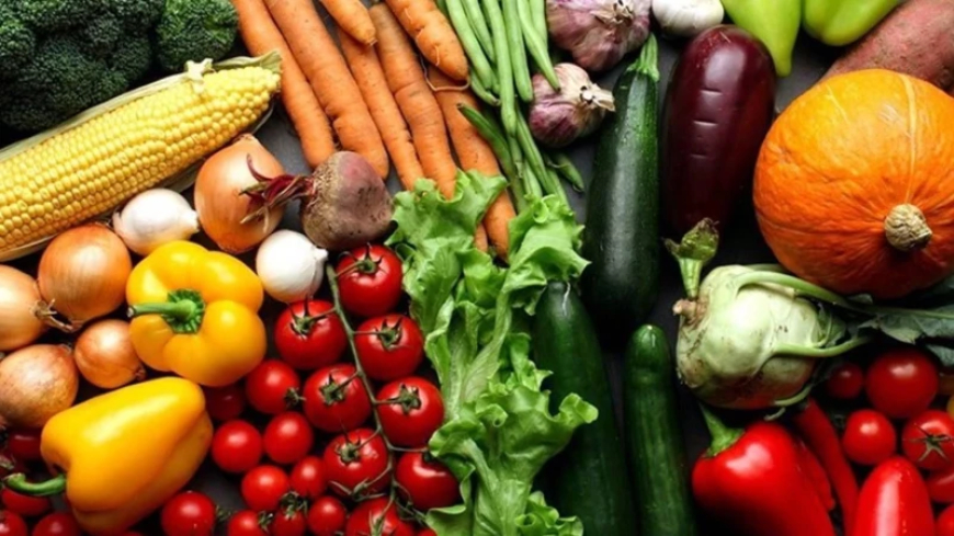 Bölgemizdeki savaş tarımı vurdu! Bakanlıktan kritik hamle