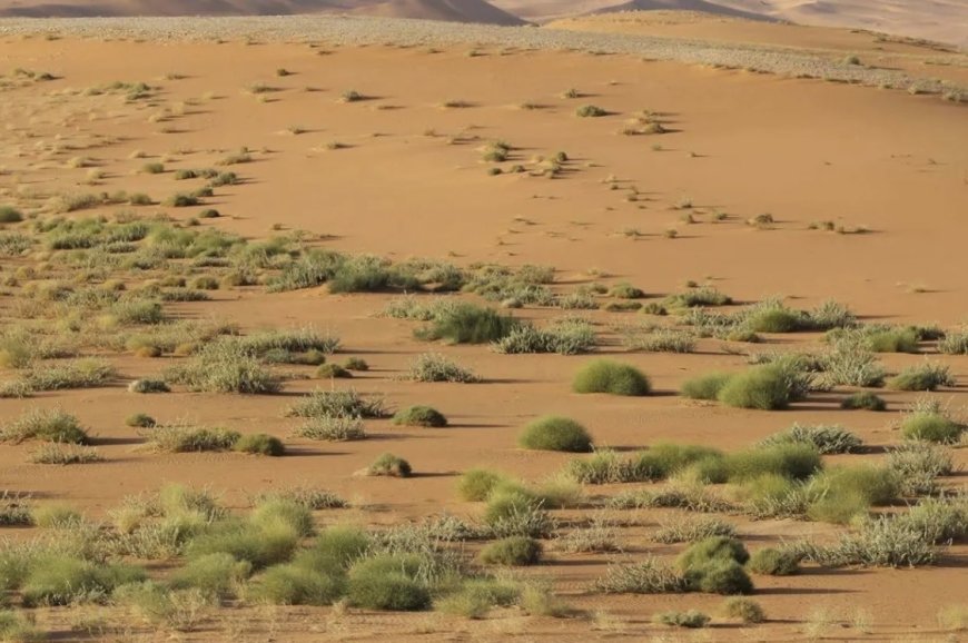 "الربع الخالي"... مخزن الطاقة ومقبرة المسيرات