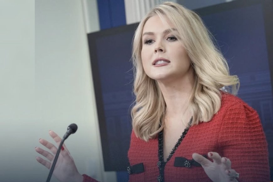 المتحدثة باسم البيت الأبيض: الرئيس ترامب تحدث مع قادة عدة دول بشأن مضيق هرمز