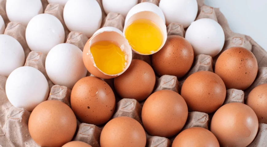 Aralarındaki farka çok şaşıracaksınız! Beyaz yumurta mı, kahverengi yumurta mı daha sağlıklı?