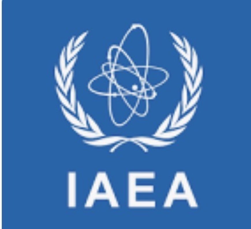 الوكالة الدولية للطاقة الذرية: على علم بتقارير عن حادث صاروخي في ديمونة بإسرائيل ولم تتلق أي إشارة إلى وقوع أضرار في مركز أبحاث النقب النووي وتشير المعلومات الواردة من دول المنطقة إلى عدم رصد أي مستويات إشعاع غير طبيعية