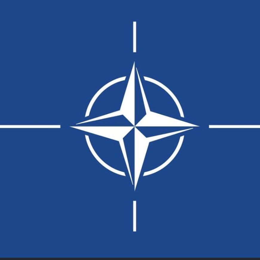حلف شمال الأطلسي (الناتو): نؤيد حرب ترامب على إيران