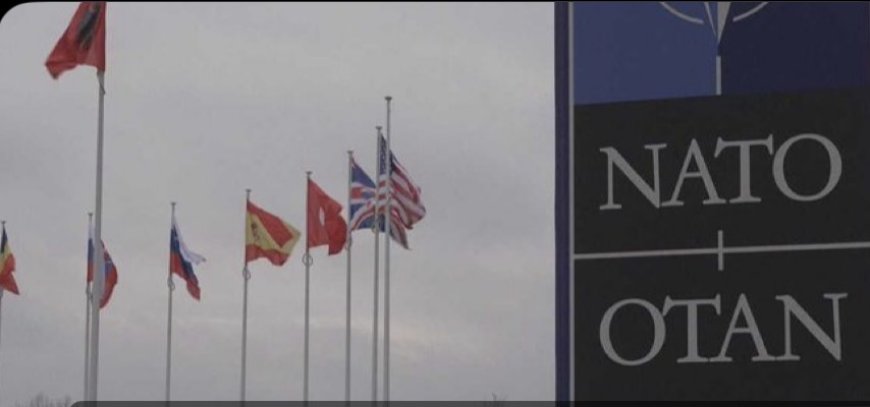 وكالات:‏لجنة بريطانية تحذر من تخلي واشنطن عن "الناتو"