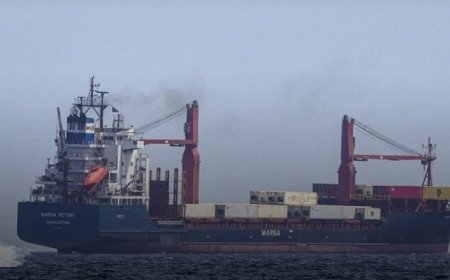 cnbc:مضيق هرمز يشهد حركة عبور نشطة من بينها ناقلات يابانية وفرنسية، يوم الجمعة 3 أبريل/ نيسان، مع حصول استثناءات على الرغم من حظر إيران المرور بشكل شبه كامل منذ اندلاع الحرب الأميركية الإسرائيلية على طهران