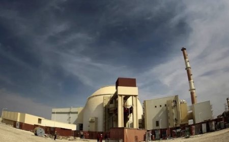 مشروع محطة "بوشهر النووية"...مشروع الشاه الذي تهدده الحرب.