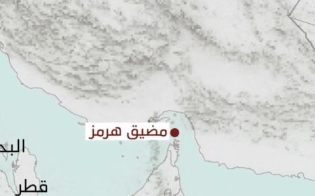 ‏أكثر من 15 دولة تخطط لتسهيل استنئاف الملاحة بمضيق هرمز