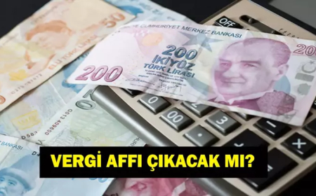 VERGİ AFFI SON DAKİKA: Mehmet Şimşek Duyurdu! Vergi Affı Çıkacak Mı? Ne Zaman Çıkacak? Son Durum Ne?