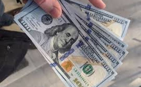 الدولار يستقر قرب أعلى مستوياته مع تشدد الاحتياطي الفيدرالي وتراجع الين