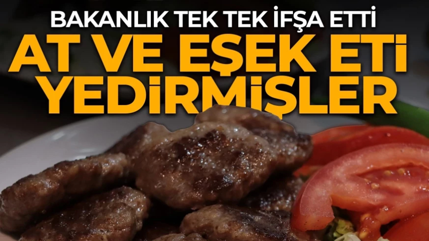 Gıdada mide bulandıran hile: At ve eşek eti yedirmişler! Bakanlık o firmaları tek tek ifşa etti