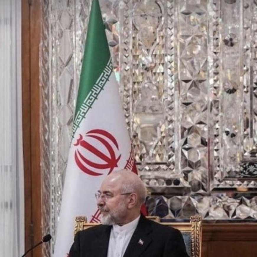 وكالات:رئيس البرلمان الإيراني: لا وجود لمتطرفين أو معتدلين في إيران والشعب "ملتزم بطاعة المرشد"