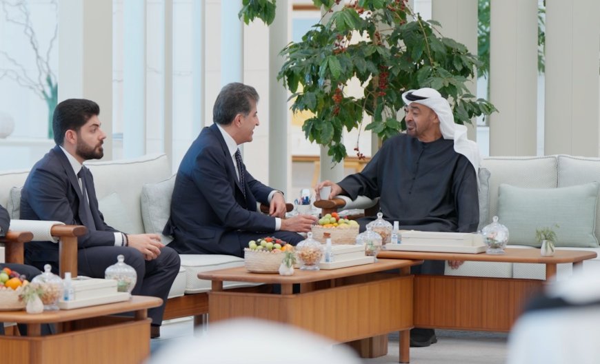 نيجيرفان بارزاني ومحمد بن زايد يؤكدان أهمية التعاون لترسيخ الاستقرار في المنطقة