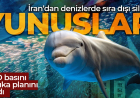 Hürmüz'de düğüm! ABD kıskacı daralıyor! Sıra dışı plan: Mayın taşıyan yunuslar