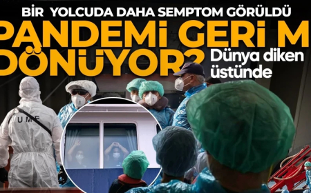 Hantavirüslü gemiden yolcular tahliye edildi! Bir yolcuda daha semptom görüldü: Görüntüler "Kabus geri döndü" dedirtti