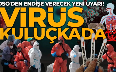 DSÖ'den dünyayı tedirgin eden hantavirüs uyarısı!