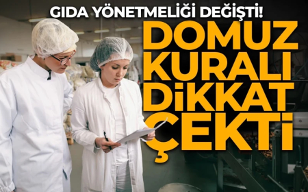 Gıda yönetmeliği değişti! Karardaki "Domuz" detayı dikkat çekti: Ne anlama geliyor?