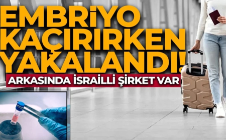 Embriyo kaçırırken yakalandı! Arkasında İsrailli şirket var!