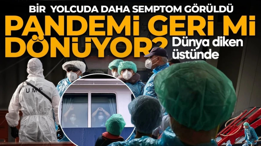 Hantavirüslü gemiden yolcular tahliye edildi! Bir yolcuda daha semptom görüldü: Görüntüler "Kabus geri döndü" dedirtti