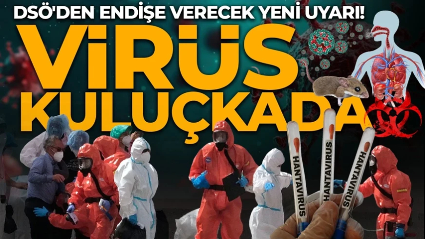 DSÖ'den dünyayı tedirgin eden hantavirüs uyarısı!
