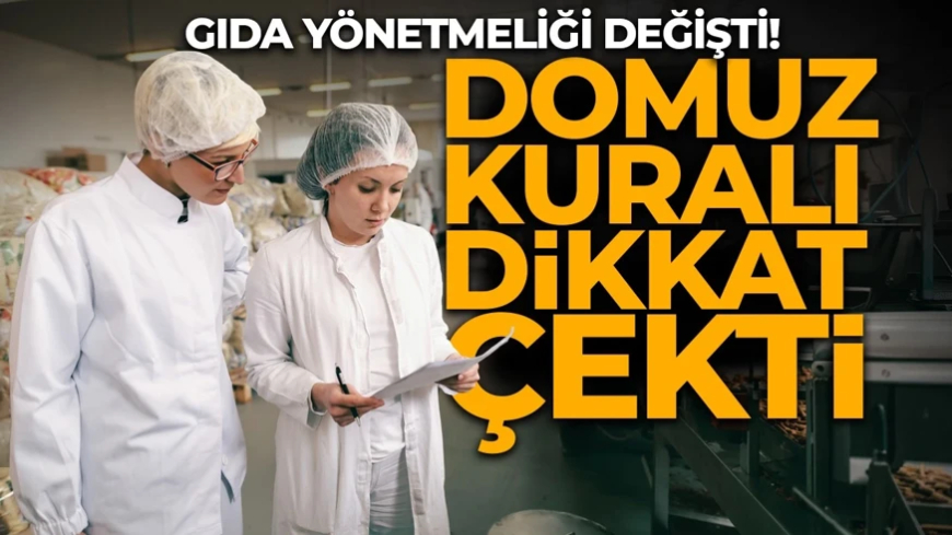 Gıda yönetmeliği değişti! Karardaki "Domuz" detayı dikkat çekti: Ne anlama geliyor?