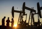وكالات:تراجع أسعار النفط بنحو 5% بعد التوصل لاتفاق بين أميركا وإيران.