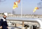 ‏بلومبرغ: 14 مليون برميل من النفط العراقي العالق تعبر هرمز خلال 10 أيام وتتجه إلى آسيا وأوروبا وأمريكا.