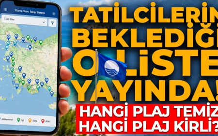 Türkiye'nin sahilleri mercek altında! Hangi plaj temiz hangisi riskli? Liste güncellendi!