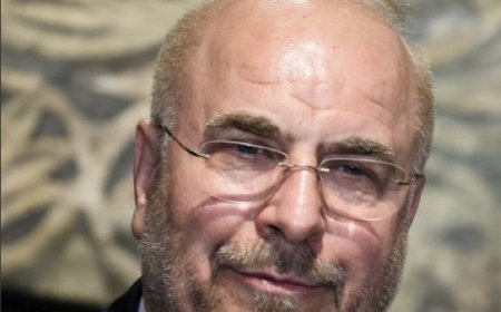 رويترز:‏قال كبير المفاوضين الإيرانيين محمد باقر قاليباف يوم الخميس إن مزاعم الولايات المتحدة بأن طهران ستستخدم الأصول التي يتم رفع التجميد عنها لشراء منتجات زراعية أمريكية كاذبة.