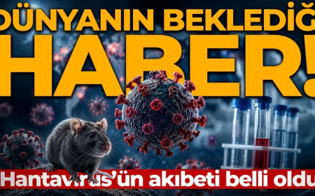 Hantavirüs tehlikesi bitti mi? DSÖ son tabloyu paylaştı