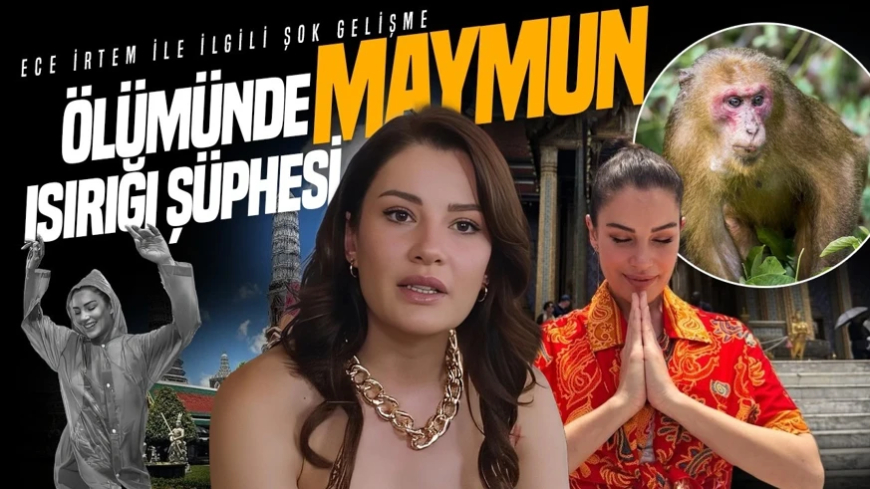 Ece İrtem'in ölümüyle ilgili şoke eden gelişme: Vefatında maymun ısırığı şüphesi