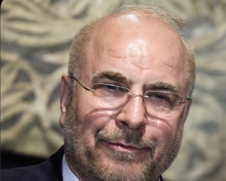 رويترز:‏قال كبير المفاوضين الإيرانيين محمد باقر قاليباف يوم الخميس إن مزاعم الولايات المتحدة بأن طهران ستستخدم الأصول التي يتم رفع التجميد عنها لشراء منتجات زراعية أمريكية كاذبة.
