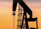 وكالات:خام برنت يرتفع 2% إلى 91.03 دولارا للبرميل.