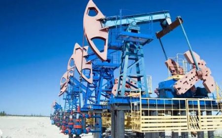 ارتفاع أسعار النفط في الأسواق العالمية