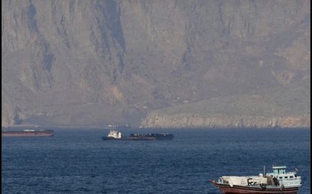 بلومبرغ: توقف حركة الملاحة في مضيق هرمز بشكل شبه كامل فجر اليوم.
