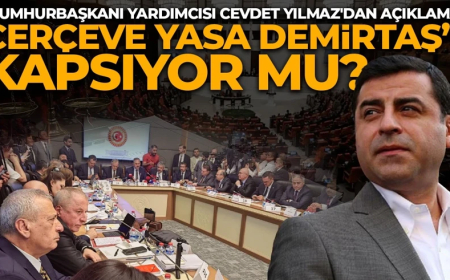 Çerçeve yasa Demirtaş’ı kapsıyor mu? Cumhurbaşkanı Yardımcısı Cevdet Yılmaz'dan açıklama